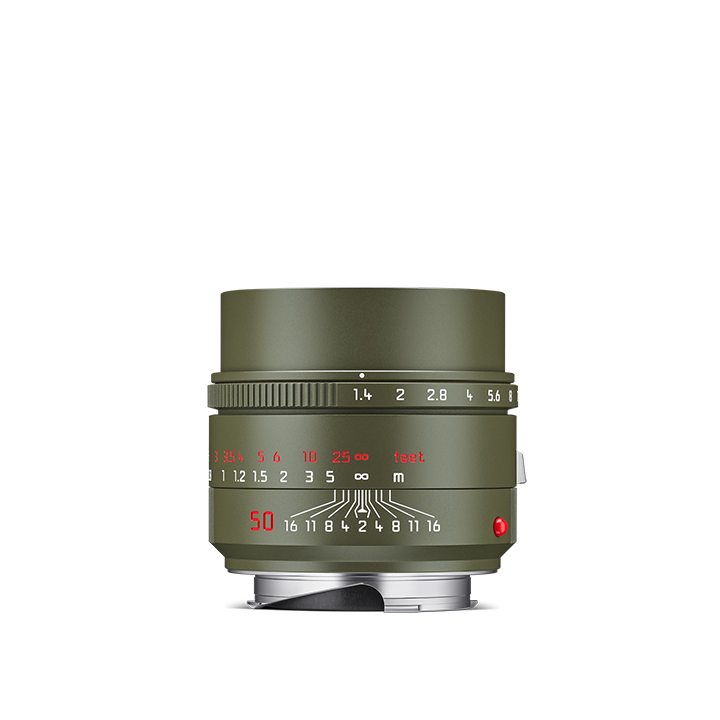 Leica 라이카 Summilux-M 50mm f/1.4 ASPH, Safari