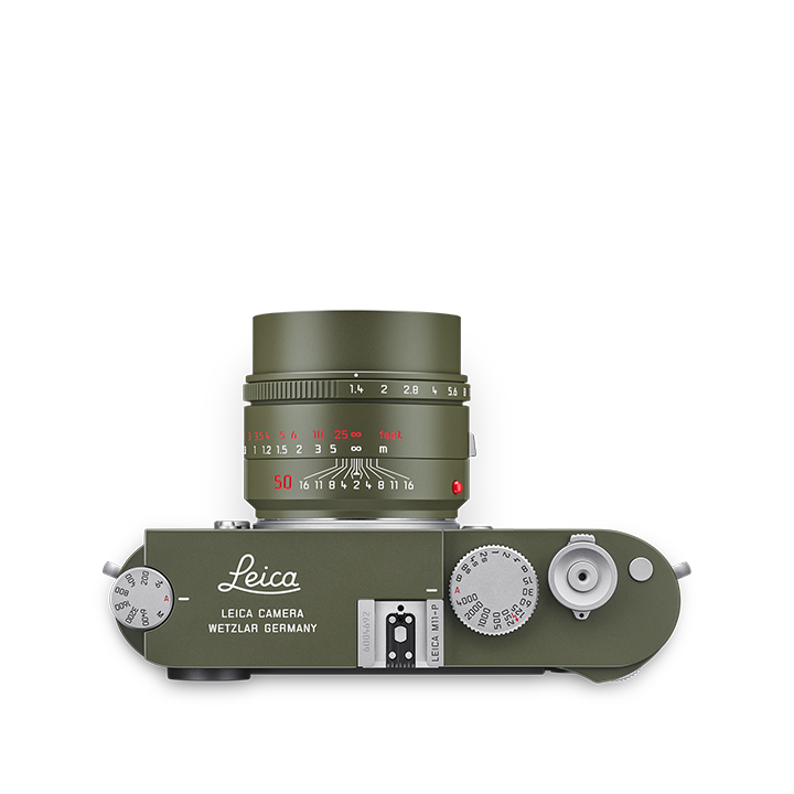 Leica 라이카 Summilux-M 50mm f/1.4 ASPH, Safari