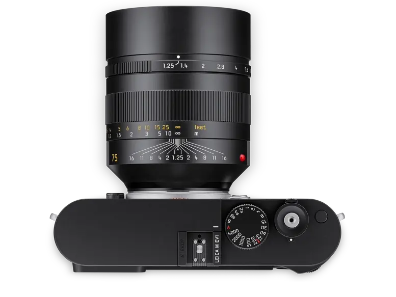 Leica 라이카 M EV1